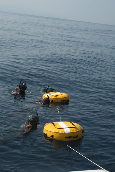 LWF Apnea Constant Weight Contest